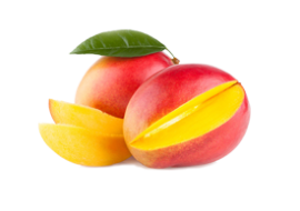 Xoài cát Hoà Lộc