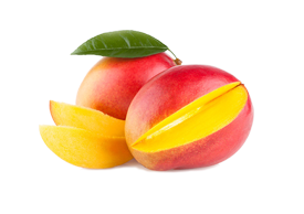 Xoài cát Hoà Lộc
